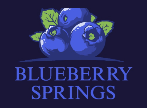 Blueberry Springs