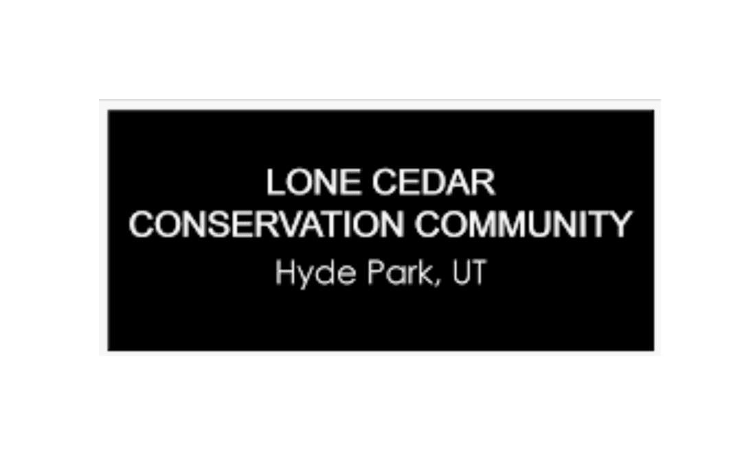 lone cedar